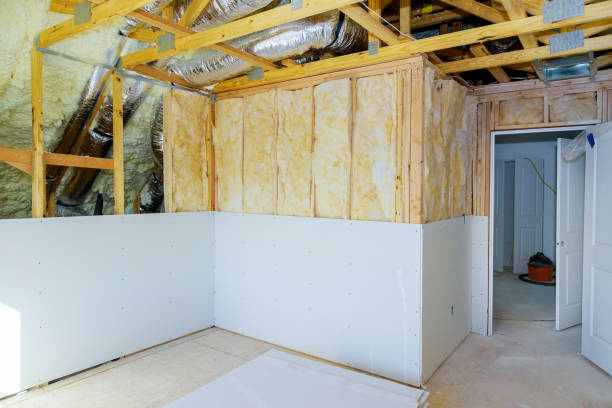 Best Insulation Replacement Services  in Paintsville, KY